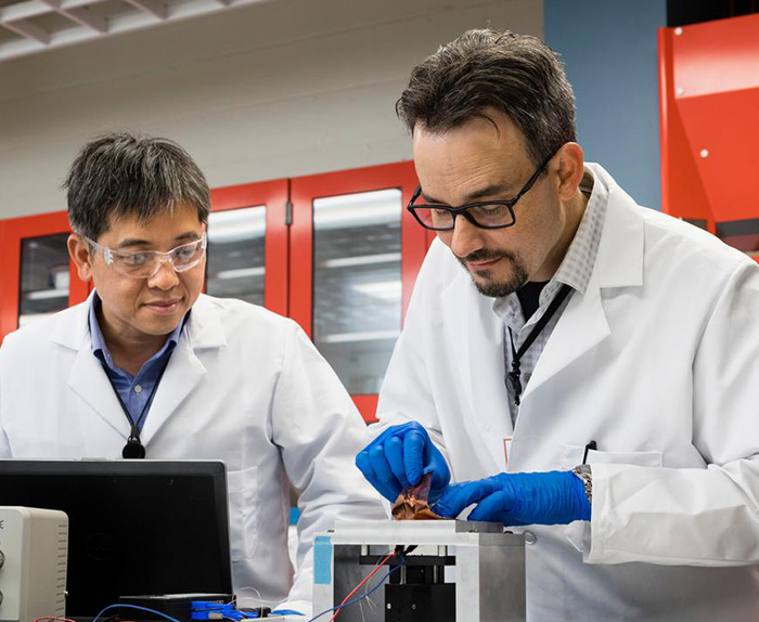 Two Associates working in a lab